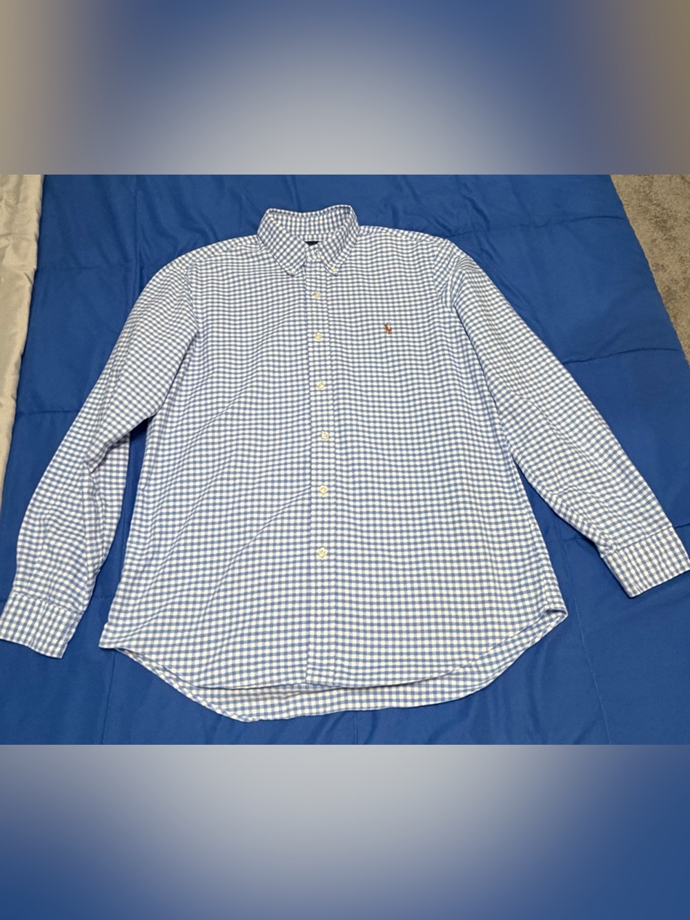 Polo by Ralph Lauren Men's Blue Gingham Button-Down Shirt